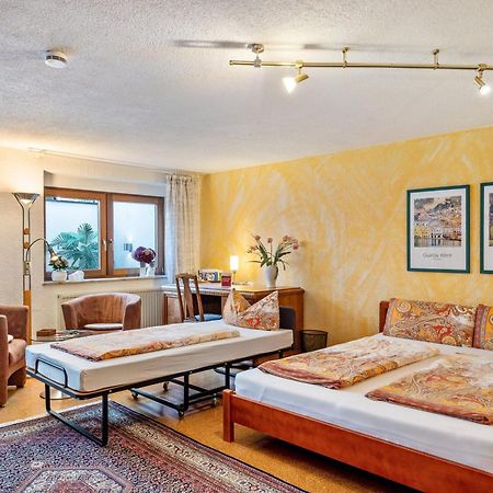 Ferienwohnung Bei Franka Mit Sauna Freiburg im Breisgau Ngoại thất bức ảnh